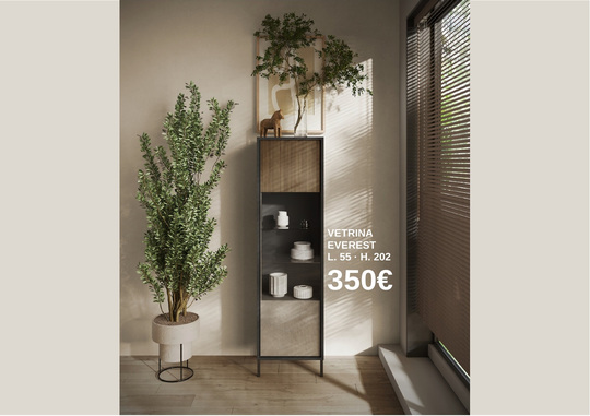 Vetrina Everest a 350 euro